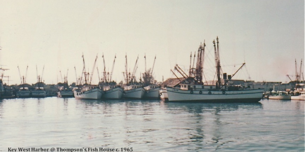From the Fish House Window – Working Waterfront
